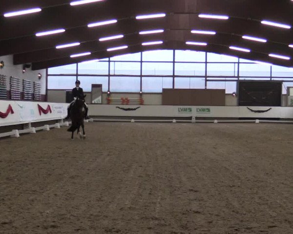 Reitturnier Alt Marl 2018