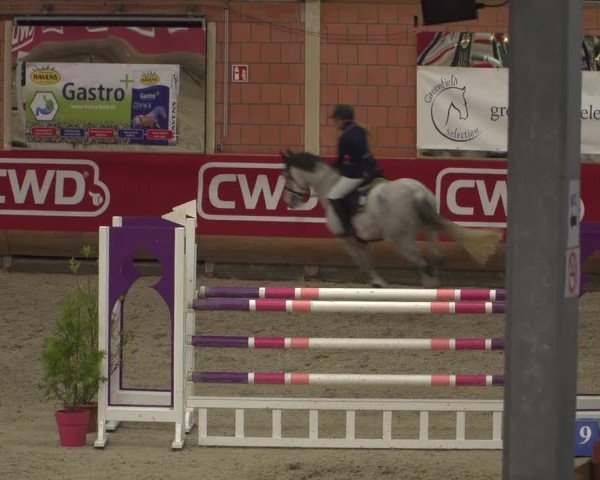 Reitturnier Mönchengladbach-Wickrath 2018