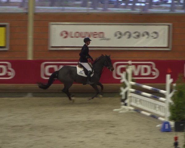 Reitturnier Mönchengladbach-Wickrath 2018