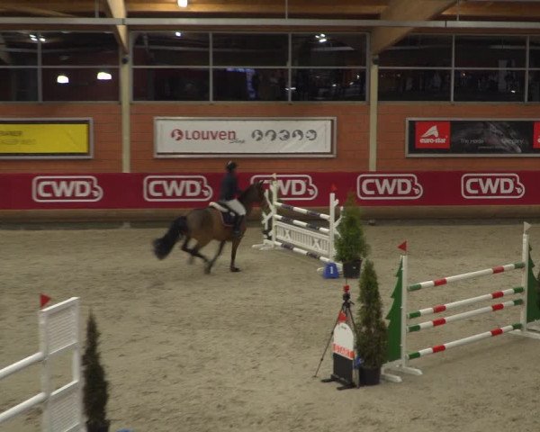Reitturnier Mönchengladbach-Wickrath 2018