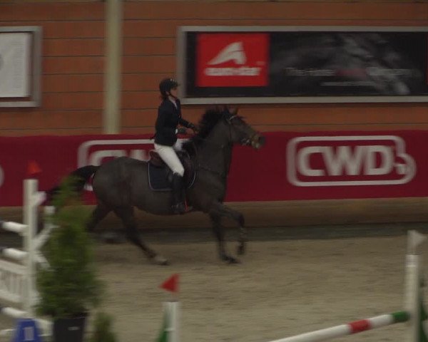 Reitturnier Mönchengladbach-Wickrath 2018