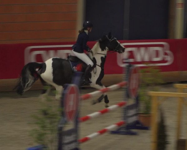 Reitturnier Mönchengladbach-Wickrath 2018