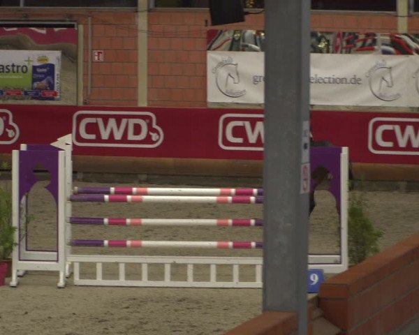 Reitturnier Mönchengladbach-Wickrath 2018