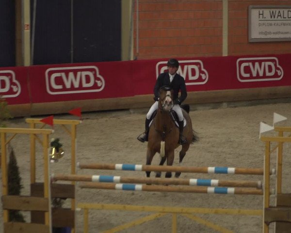 Reitturnier Mönchengladbach-Wickrath 2018