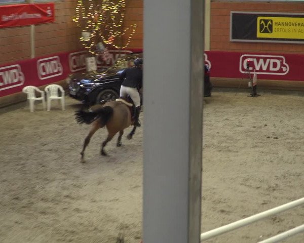 Reitturnier Mönchengladbach-Wickrath 2018