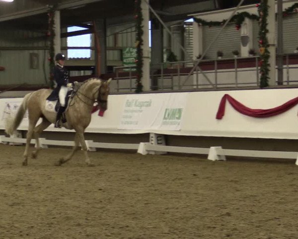Reitturnier Alt Marl 2018