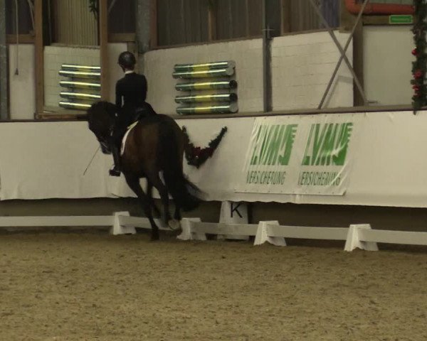Reitturnier Alt Marl 2018