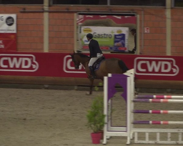 Reitturnier Mönchengladbach-Wickrath 2018