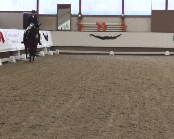 Reitturnier Alt Marl 2018