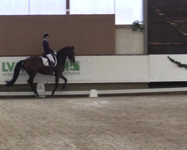 Reitturnier Alt Marl 2018