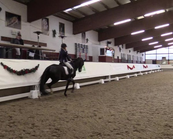 Reitturnier Alt Marl 2018