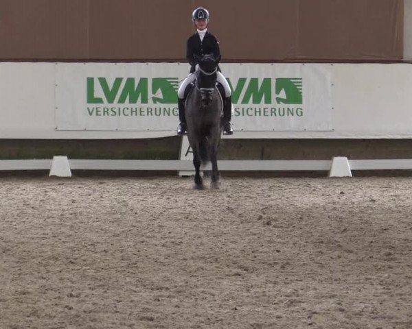 Reitturnier Alt Marl 2018