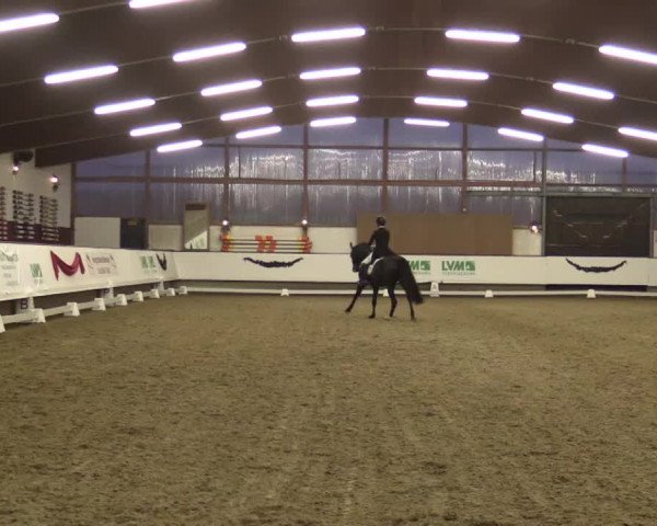 Reitturnier Alt Marl 2018