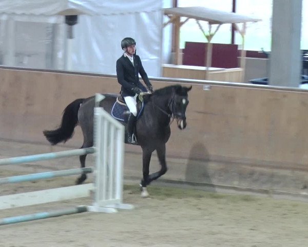 Reitturnier Prussendorf 2018