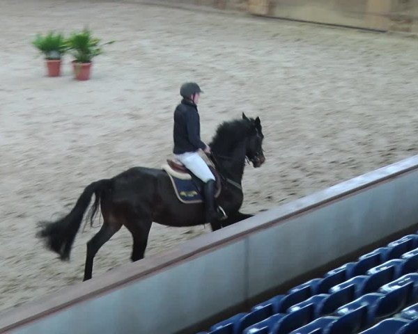 Reitturnier Prussendorf 2018