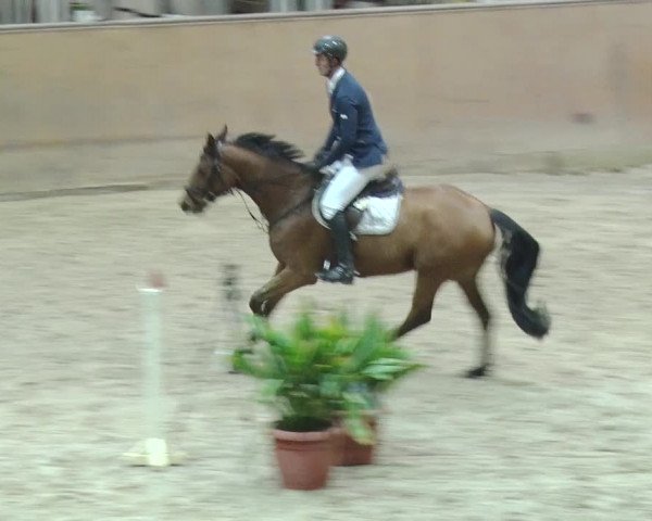 Reitturnier Prussendorf 2018