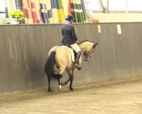 Reitturnier St. Peter Ording 2021