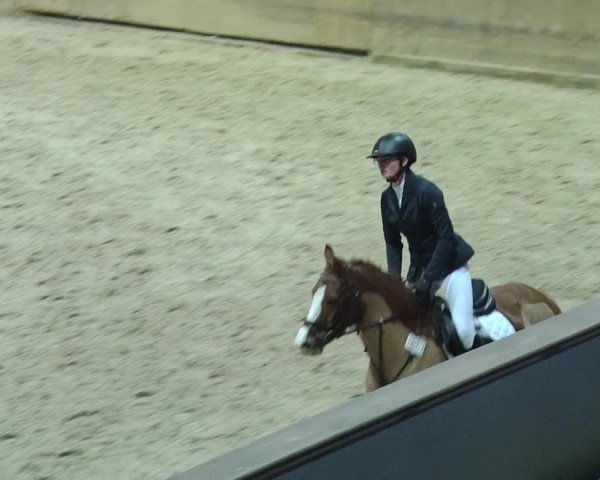 Reitturnier Prussendorf 2018