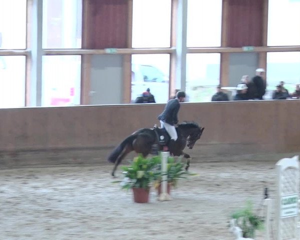 Reitturnier Prussendorf 2018