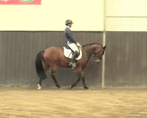 Reitturnier St. Peter Ording 2021
