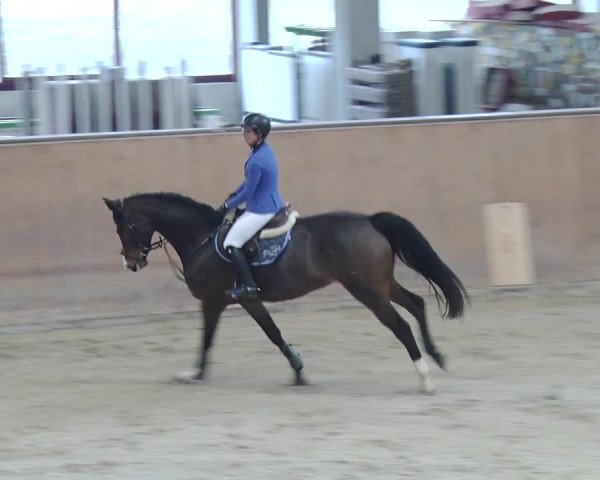 Reitturnier Prussendorf 2018