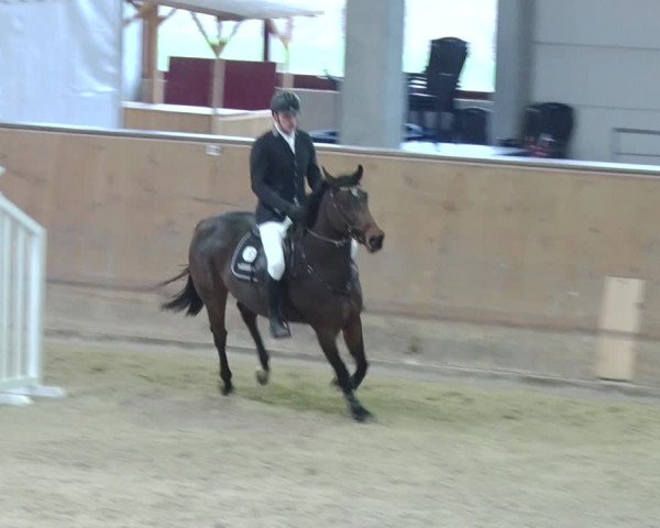 Reitturnier Prussendorf 2018