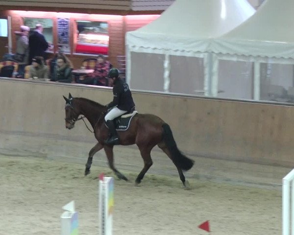 Reitturnier Prussendorf 2018