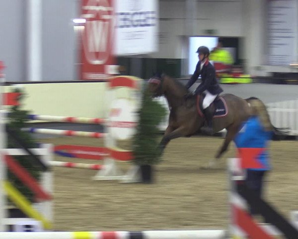Reitturnier Münster-Handorf 2018