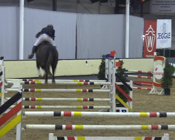 Reitturnier Münster-Handorf 2018
