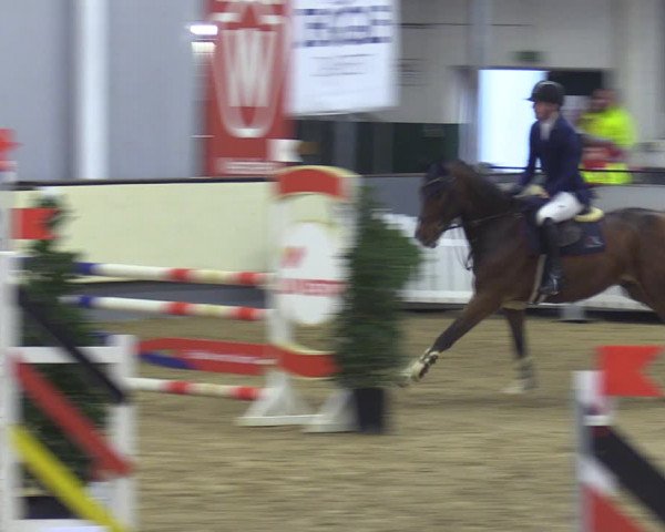 Reitturnier Münster-Handorf 2018