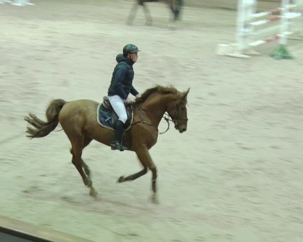 Reitturnier Prussendorf 2018