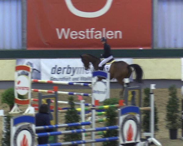 Reitturnier Münster-Handorf 2018