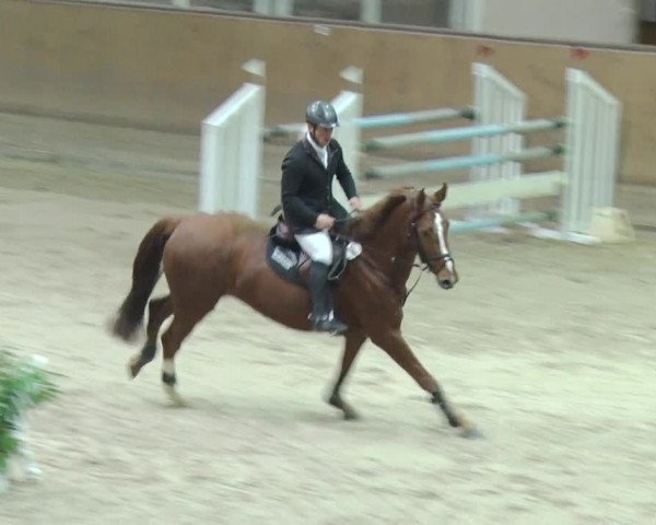 Reitturnier Prussendorf 2018
