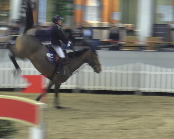 Reitturnier Münster-Handorf 2018