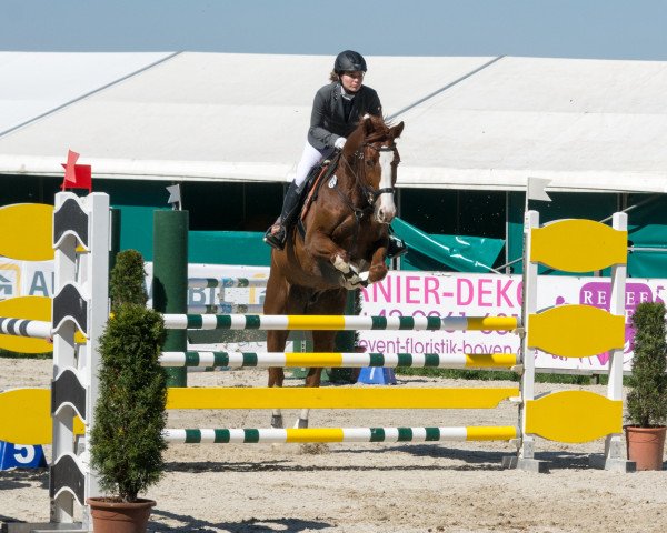 jumper Dante Disney (Rhinelander, 2010, from Delamanga)