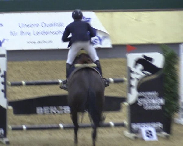 Reitturnier Münster-Handorf 2018