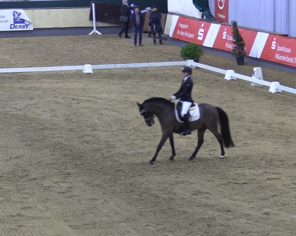 Reitturnier Münster-Handorf 2018