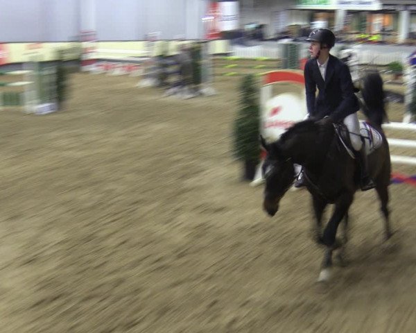 Reitturnier Münster-Handorf 2018