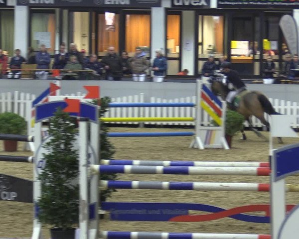 Reitturnier Münster-Handorf 2018