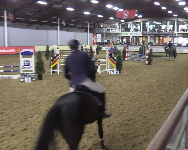Reitturnier Münster-Handorf 2018