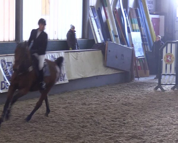 Reitturnier Münster-Handorf 2018