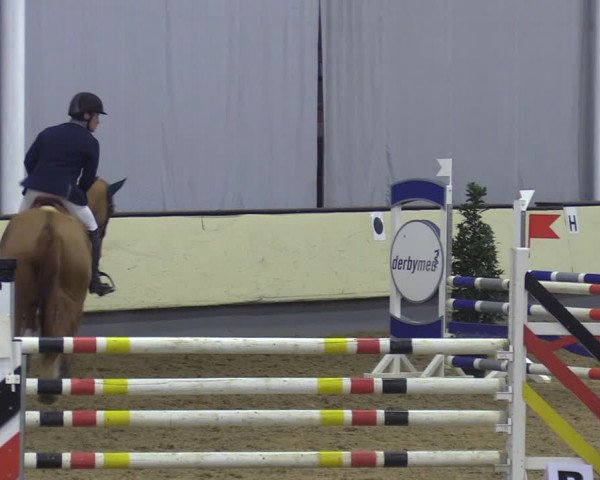 Reitturnier Münster-Handorf 2018