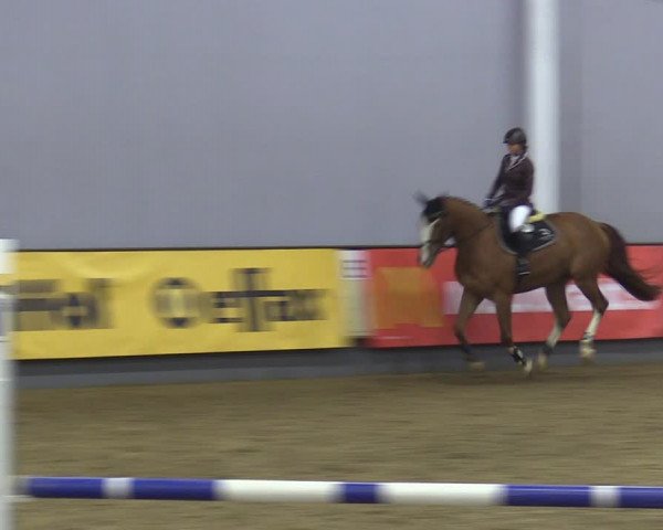 Reitturnier Münster-Handorf 2018