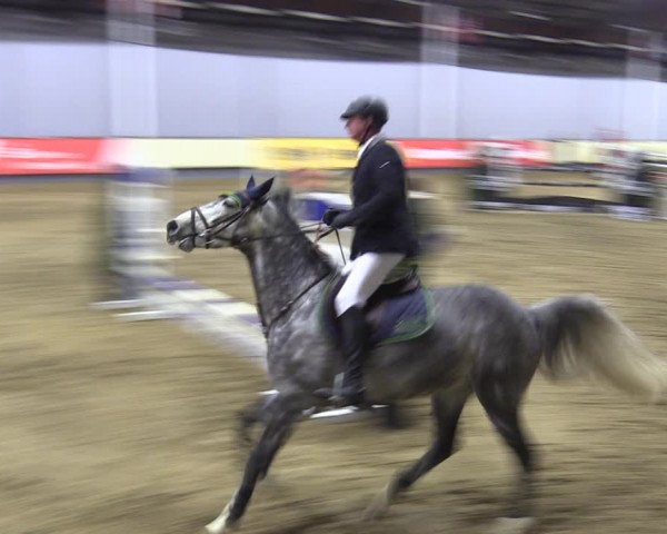 Reitturnier Münster-Handorf 2018