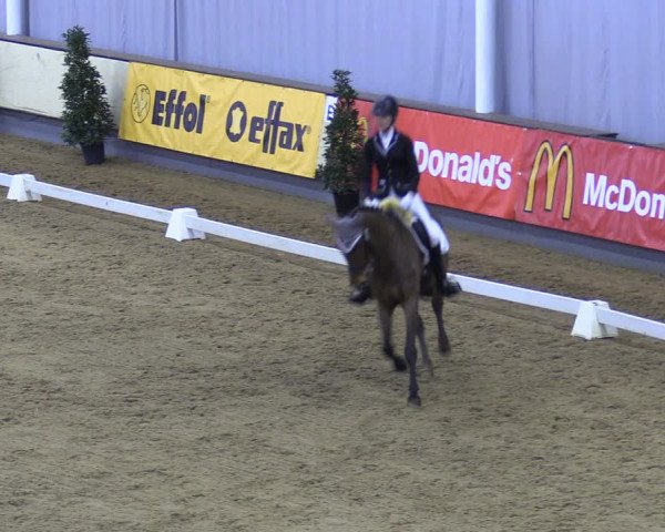 Reitturnier Münster-Handorf 2018