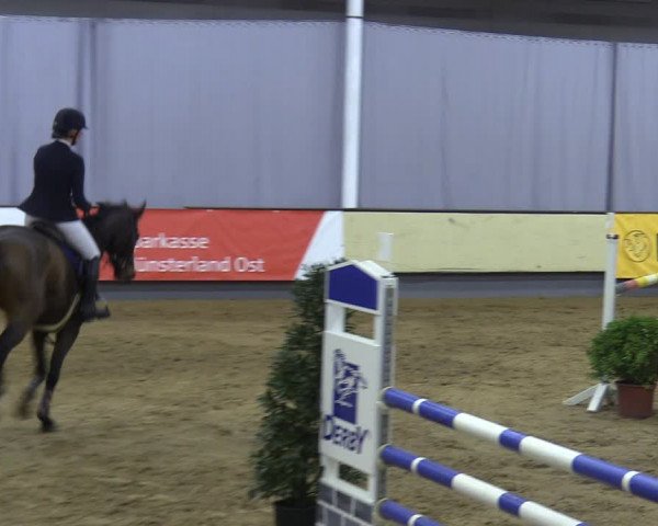 Reitturnier Münster-Handorf 2018