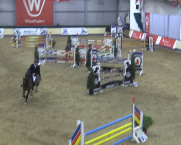 Reitturnier Münster-Handorf 2018