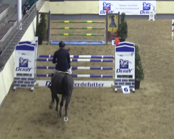 Reitturnier Münster-Handorf 2018
