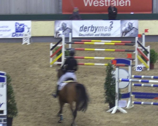 Reitturnier Münster-Handorf 2018