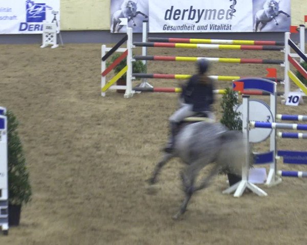 Reitturnier Münster-Handorf 2018